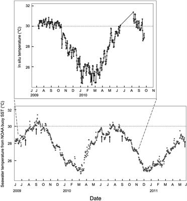 Natural Variability in Caribbean Coral Physiology and Implications for Coral Bleaching Resilience